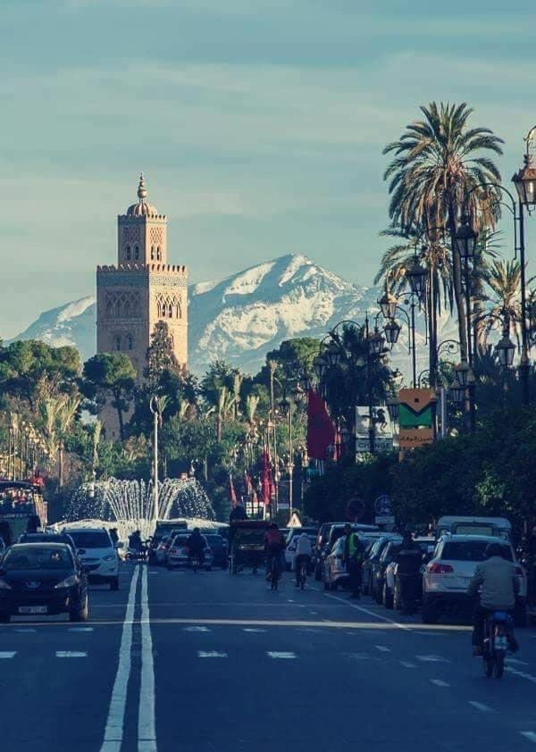 Authentic Moroccan Charm Apartment In Marrakech Terrace Μαρακές Εξωτερικό φωτογραφία