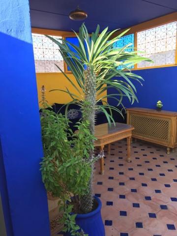 Authentic Moroccan Charm Apartment In Marrakech Terrace Μαρακές Εξωτερικό φωτογραφία